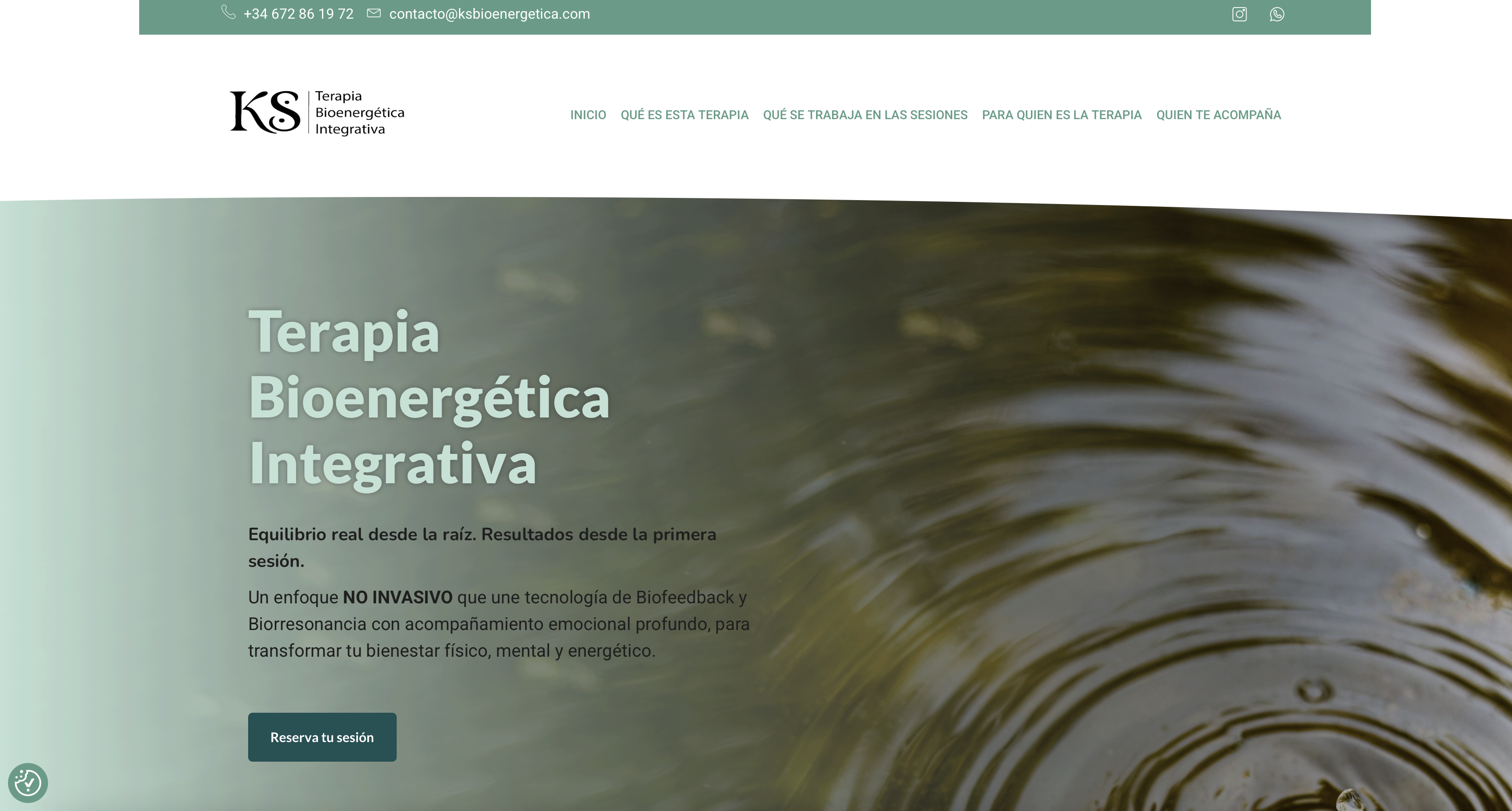 Captura de proyecto KS Bioenergética